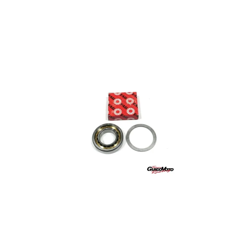 Promozione NU1005 CUSCINETTO RULLI ALBERO MOTORE VESPA ETS 125 FAG