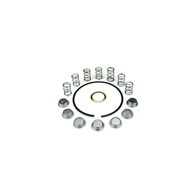 Ordina Subito 010CRKPX7 KIT REVISIONE FRIZIONE VESPA PX 200 PIAGGIO