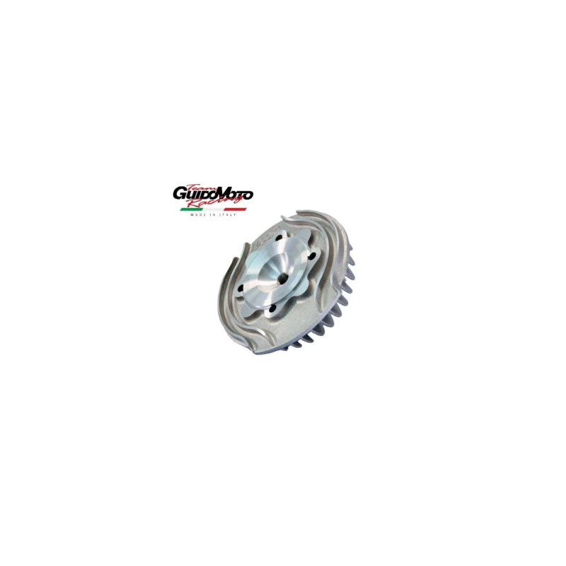 TESTA POLINI EVOLUTION CANDELA CENTRALE VESPA 125 PRIMAVERA ET3 211.0321 Soddisfatti O Rimborsati