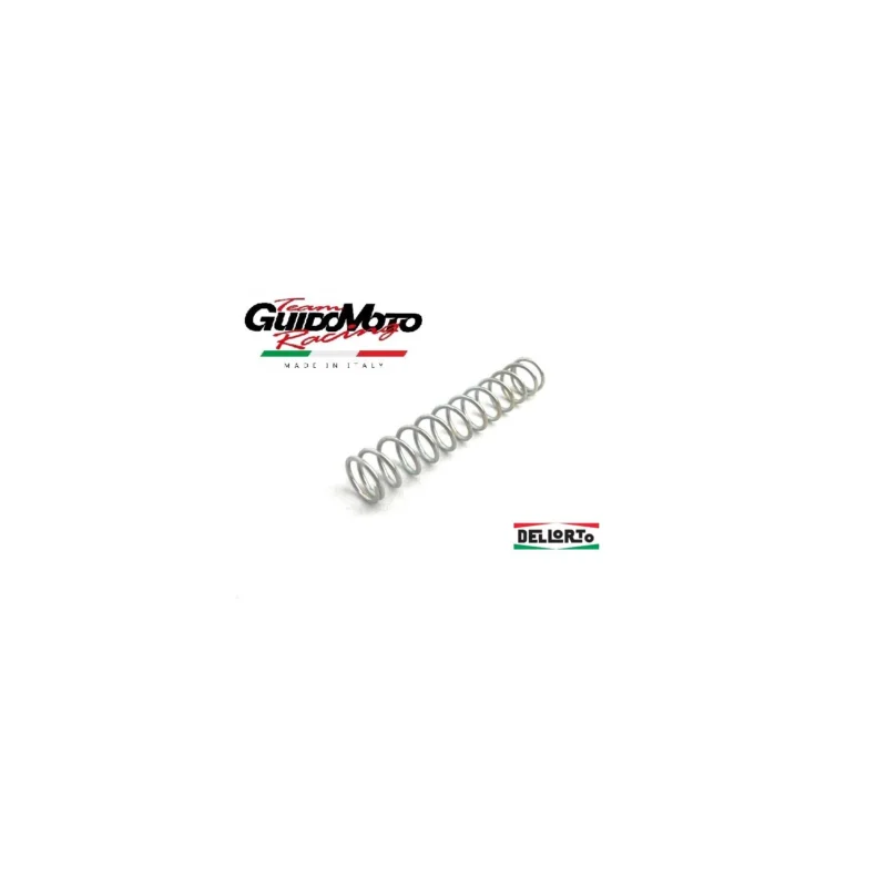 Spedito Oggi MOLLA VITE MINIMO CARBURATORI SI VESPA VBB GT SUPER GL TS PX DELL'ORTO 014090061