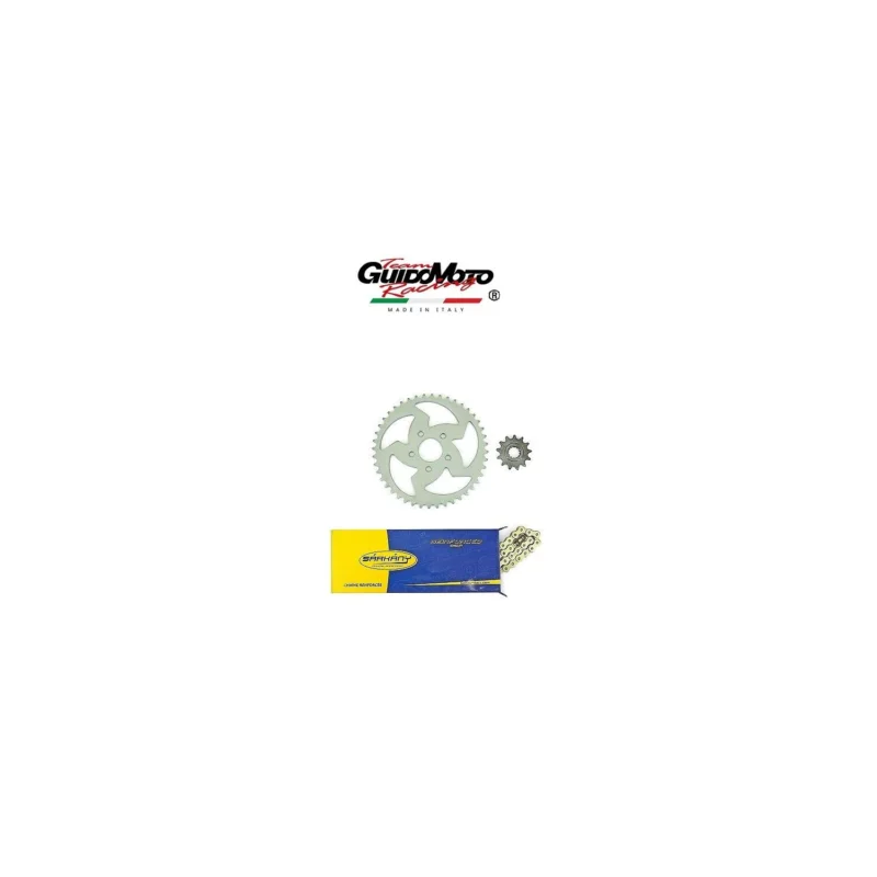 CATENA 420 CORONA 44 PIGNONE 13 TRASMISSIONE MOTO RIEJU RS1 50 SARKANY 244376 Vendita Finale