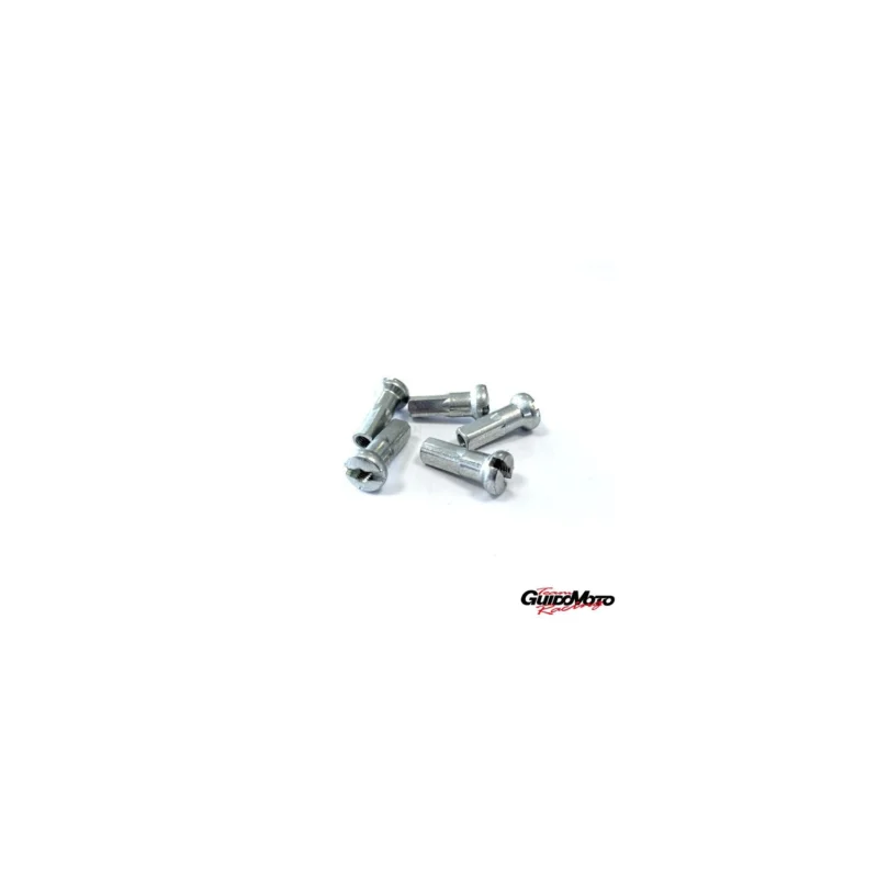 P40F02 NIPPLES RAGGI RUOTE D. 4 MOTOCICLI ALPINA (5 pz) Promozione