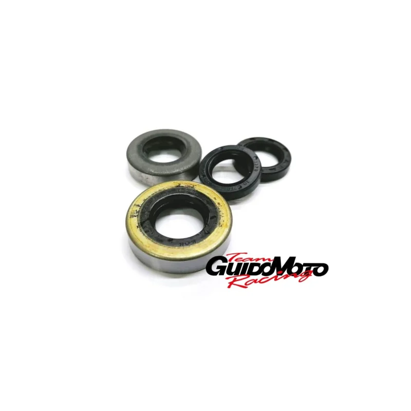 PARAOLIO CICLOMOTORI MOTORE MINARELLI P4 CLASSICI EPOCA GMC0093 Compra Oggi Stesso