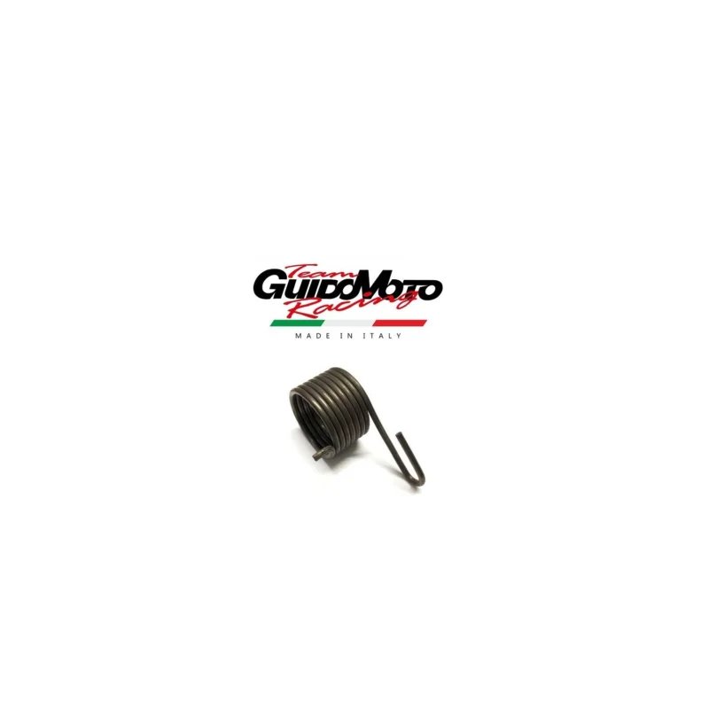 MOLLA RICHIAMO PEDALE AVVIAMENTO MOTORE MINARELLI P4 P6 GMG0050 Sconto