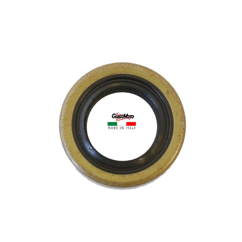 Ultime Pezzi PARAOLIO 17 X 35 X 8 FBM MINARELLI P4 P6 V1 100661090