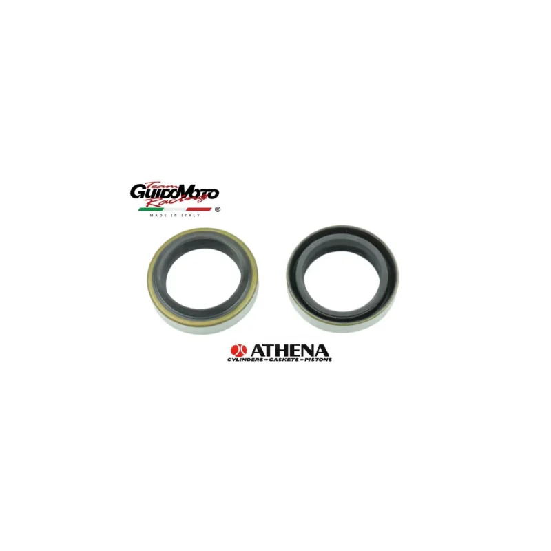 PARAOLIO 25,7 X 35 X 7,9 FORCELLA BRAVO SI SCOOTER ZIP ATHENA P40FORK455068 Offerta Lampo
