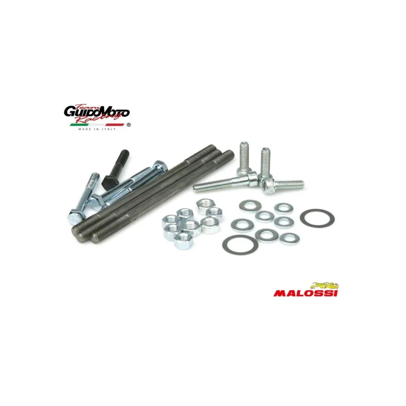 Compra Online BULLONI CARTER MOTORE MALOSSI CIAO CICLOMOTORI PIAGGIO 194329