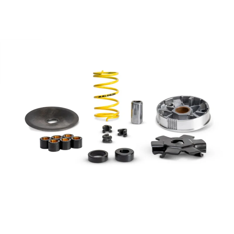 Offerta VARIATORE MALOSSI MULTIVAR CIAO BRAVO SI GRILLO BOSS CICLOMOTORI PIAGGIO 513863