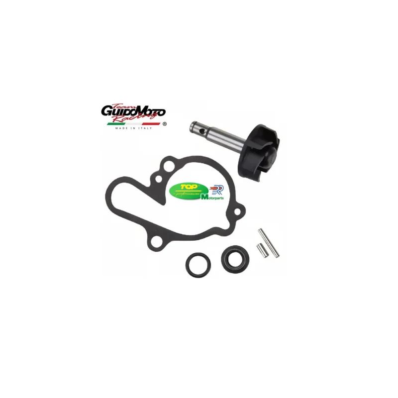 Offerta Lampo POMPA RAFFREDDAMENTO MOTORE MOTOCICLI MINARELLI AM 6 TOP AA00789