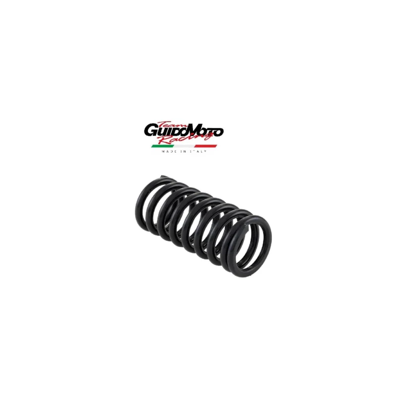 Soddisfatti O Rimborsati MOLLA MENSOLA SELLA CICLOMOTORI CIAO SC PX PIAGGIO GUIDOMOTO GMC0237