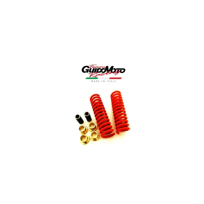 Promo Stagionale MOLLE 40% RINFORZATE BUSSOLE OTTONE FORCELLA CIAO P PX PXV GUIDOMOTO GMC0225