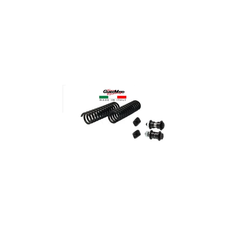 Pagamento Sicuro MOLLE RINFORZATE BUSSOLE REVISIONE FORCELLA CIAO S R SC SCV GUIDOMOTO GMC0221