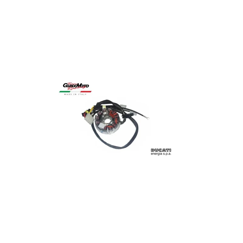 STATORE DUCATI 12 POLI MOTOCICLI MOTORE EURO 2 MINARELLI AM 6 P431143502 Super Prezzo