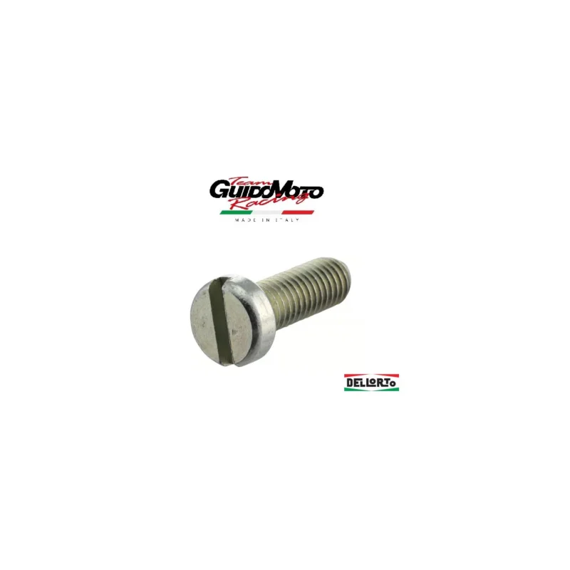Offerta Lampo VITE COPERCHIO M 5 X 14 CARBURATORI PHVA PHBN DELL'ORTO 075260036
