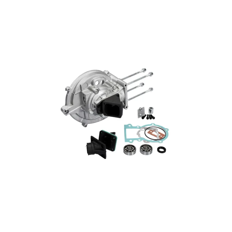 CARTER MOTORE POLINI 4 PRIGIONIERI ACCENSIONE ELETTRONICA CIAO SI PIAGGIO 170.0201 Offerta Lampo