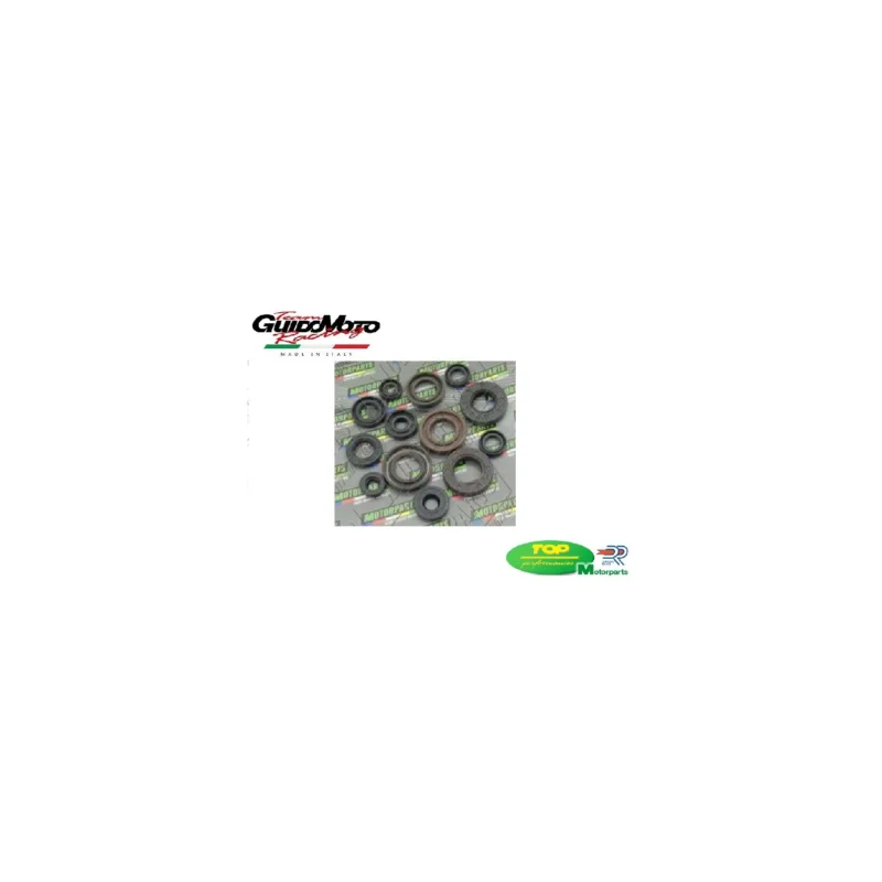 PARAOLIO MOTORE DERBI SENDA APRILIA RS4 RX CAGIVA MITO GILERA RCR VALENTI DERSR0007 Offerta