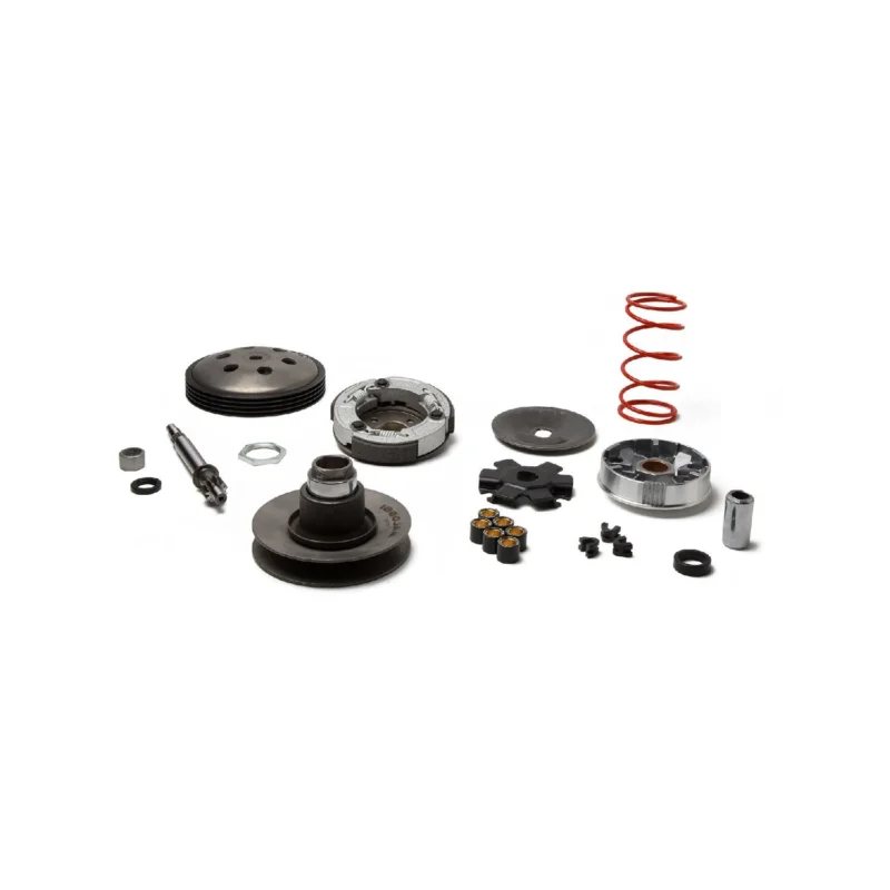 Popolare GRUPPO TRASMISSIONE OVER RANGE CICLOMOTORI CIAO BRAVO PIAGGIO VARIATORE 6119262