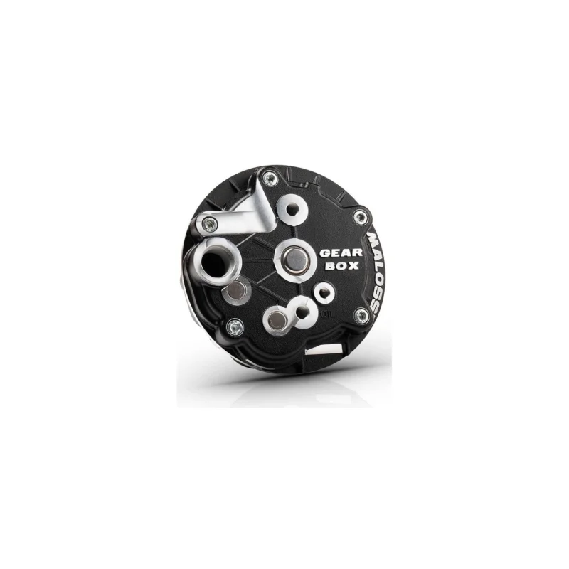 MOZZO POSTERIORE GEAR BOX CICLOMOTORI VARIATORE PIAGGIO MALOSSI 2519075 Offerta
