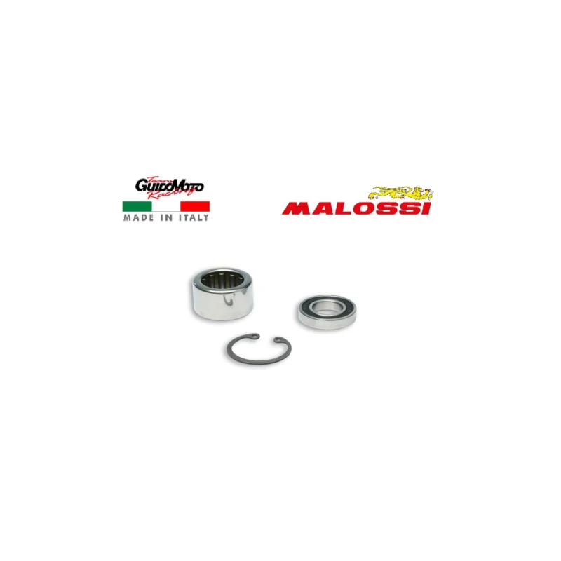 Offerta REVISIONE CORRETTORE COPPIA CICLOMOTORI PIAGGIO BOSS GRILLO SI MALOSSI 2019655