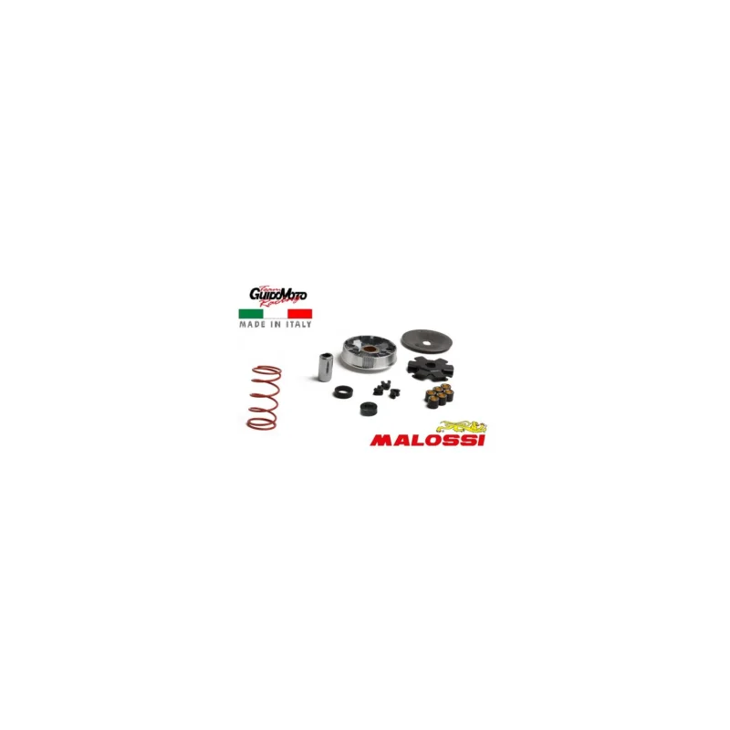 VARIATORE MALOSSI MULTIVAR MHR OVER RANGE CICLOMOTORI PIAGGIO 5118535 Promozione