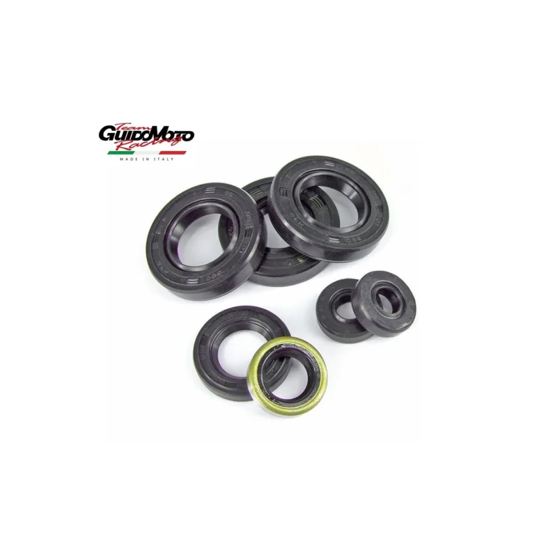 Sconto PARAOLIO REVISIONE MOTORE MOTOCICLI DERBI 50 SECONDA VERSIONE 2005>2017 040921A
