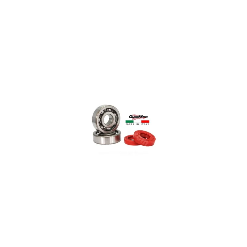 CUSCINETTI PARAOLIO ALBERO MOTORE MINARELLI AM 6 PRIMA SERIE 100020D Economico