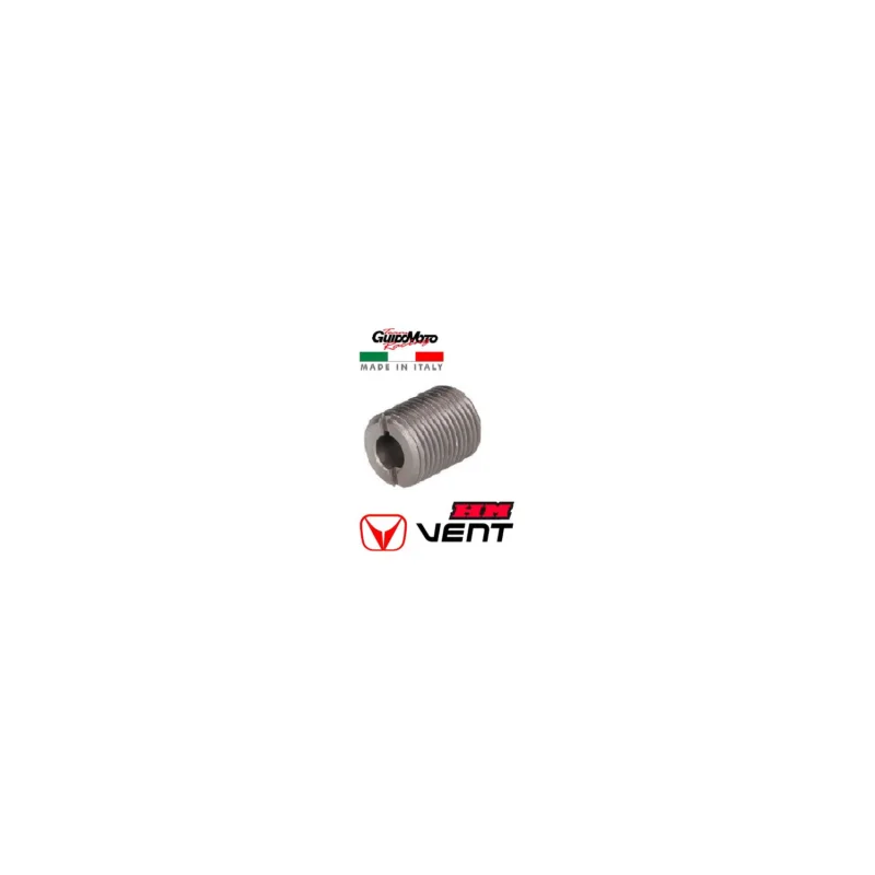 Ultime Pezzi VITE REGISTRO FRIZIONE MOTOCICLI MOTORE AM 6 MINARELLI 4908010