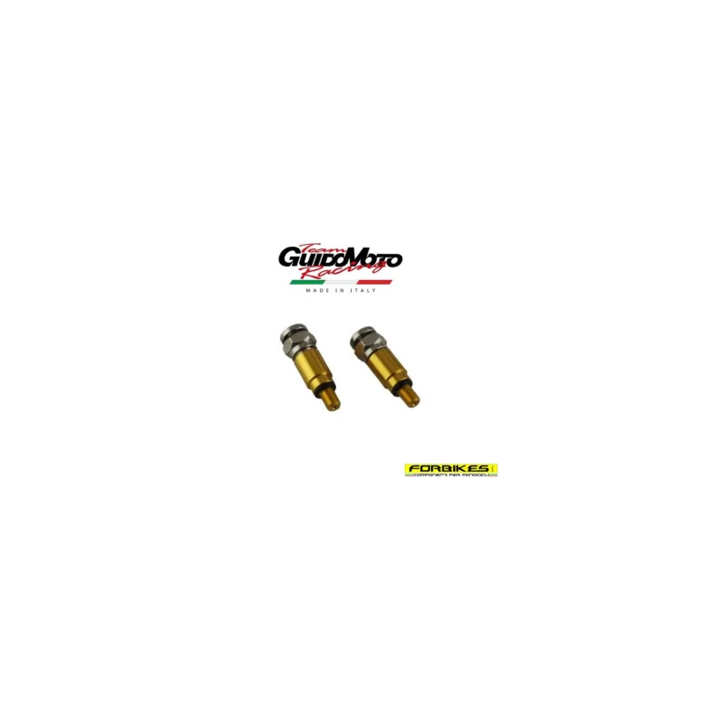 VALVOLE SFIATI FORCELLA M5 X 0.8 mm 00-0265 Scelto Dai Clienti