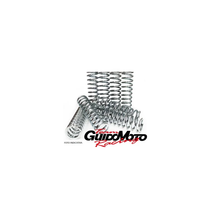 A Buon Prezzo MO106F MOLLE FRIZIONE RINFORZATE MOTOCICLI KAWASAKI NINJA 600 NEWFREN